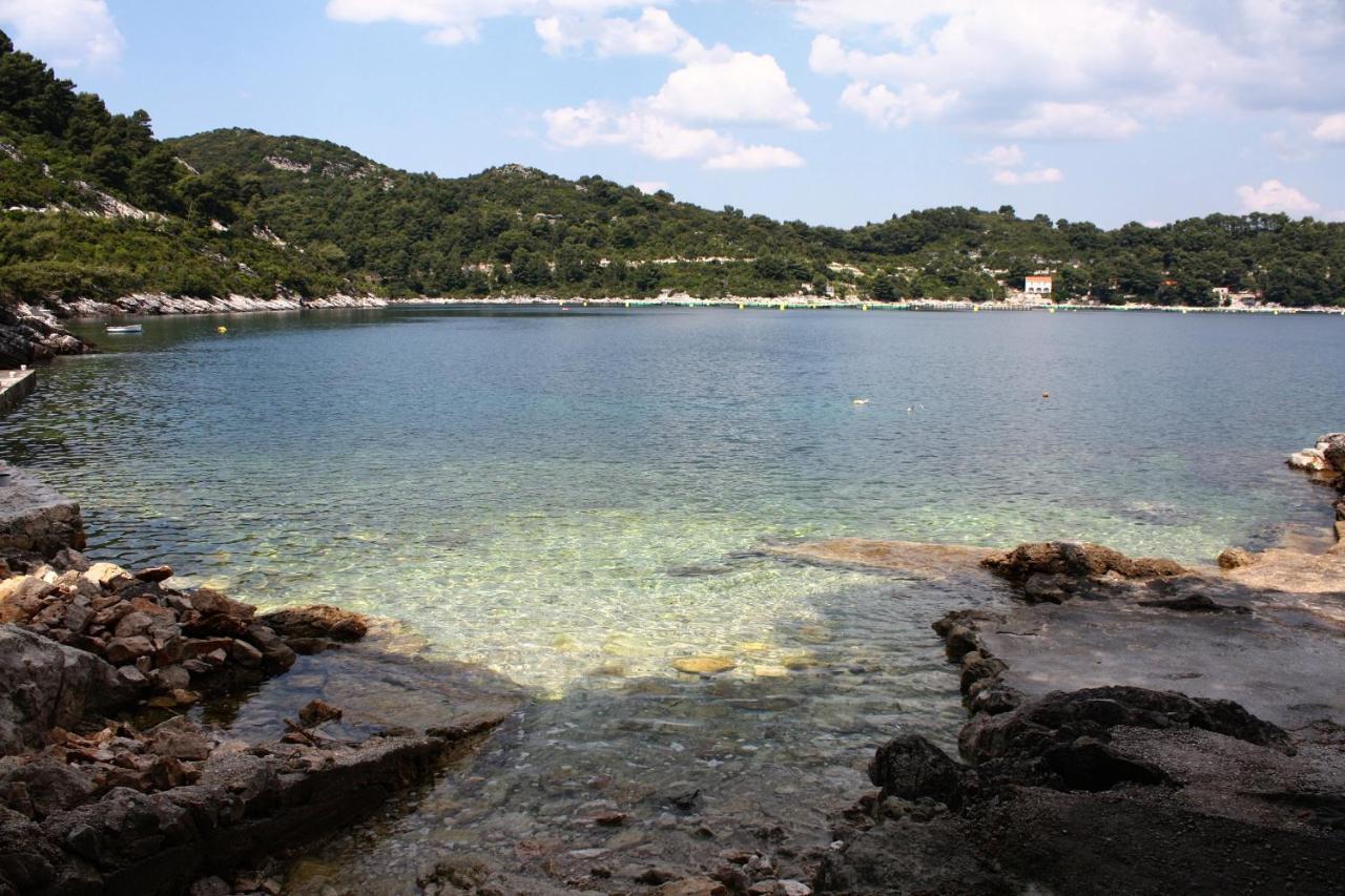 Apartments By The Sea Sobra, Mljet - 4908 Babino Polje Exterior foto